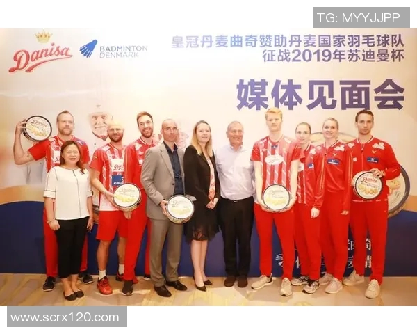 北京羽毛球队与上海羽毛球队赛后战术分析与复盘探讨